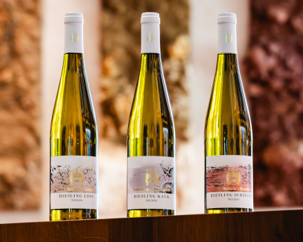 Riesling Terroir (3 x 0,75l) - Sonstiges - JakobGerhardt.de